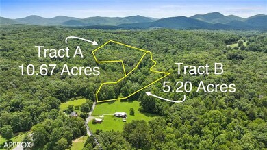 Aerial view of Tracts A & B