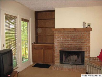 WOOD-BURNING FIREPLACE AND BOOKSHELVES, TOO!  DOOR