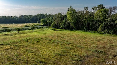 View of green lawn with a view of rural / pastoral area and a view of trees