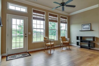 Open Living Space With Tons of Natural Light 
