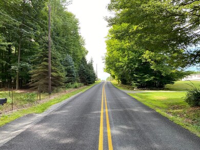 1969 Lake Ariel Hwy, Lake Ariel, PA 18436 - photo 7