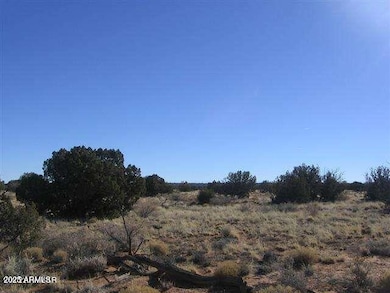 Sec 31 T15n R16e:nw4 Se4 -- unit 28, Heber, AZ 85928 - photo 3
