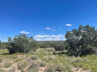 2272 W Critter Pass Photo 3