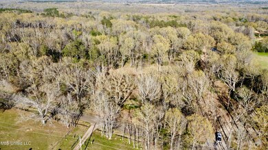 5370 Clinton-Tinnin Rd, Jackson, MS 39209 - photo 6