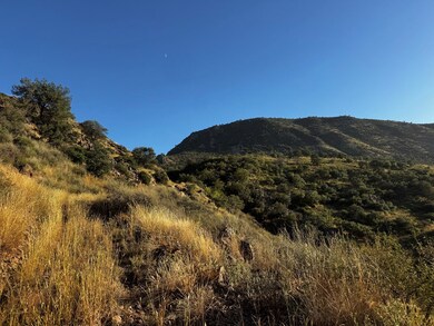 TBD Tbd, Fort Davis, TX 79734 - photo 7