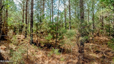 0000 Elijah Graham Rd, Noxapater, MS 39346 - photo 5