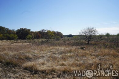 Tbd unit 34.02 Hwy 36, Comanche, TX 76442 - photo 7