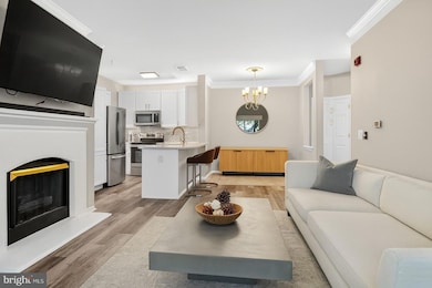 1580 Spring Gate Dr unit 4204, McLean, VA 22102 - photo 2