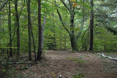 35 Hummel Dr, Corinth, NY 12822 - photo 6