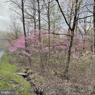 6588 Paw Paw Rd, Paw Paw, WV 25434 - photo 4