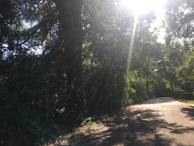 0 U S Highway 51, McComb, MS 39648 - photo 6