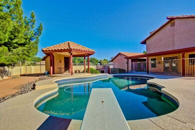 Amazing Backyard with Diving Pool