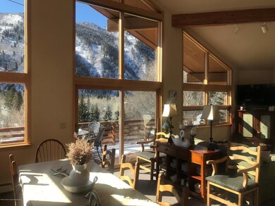 368 E Lupine Dr, Aspen, CO 81611 - photo 4