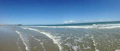 3629 Pecan St unit 3629 Seagate Village, Myrtle Beach, SC 29577 - photo 4