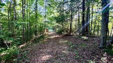 Driveway Pic 3