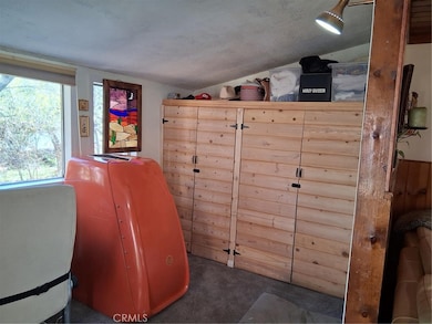 Closet storage in sun room