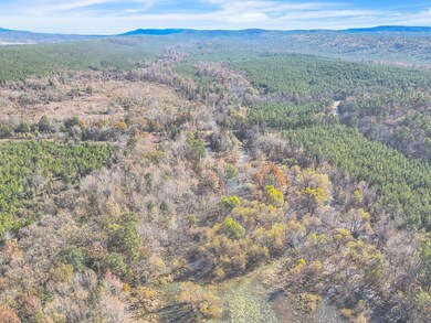 0000 Tate Rd, Booneville, AR 72927 - photo 7