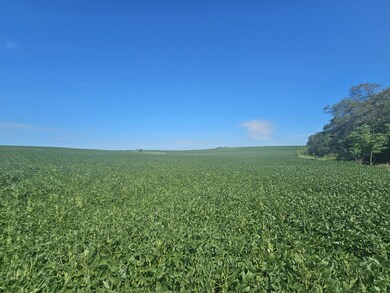 001 160th St, Elmo, MO 64445 - photo 7