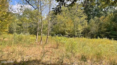 00 Graves Ln, Trenton, TN 38382 - photo 4