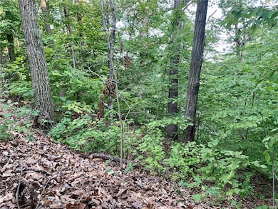 288 Sequoyan Ct, Clay Township, MO 63435 - photo 7