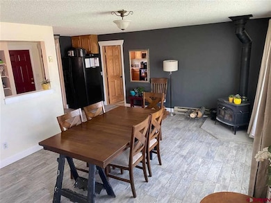 715 NE 2nd St, Cedaredge, CO 81413 - photo 5