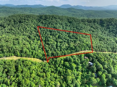 0 Walker Dr unit 416599, Morganton, GA 30560 - photo 2