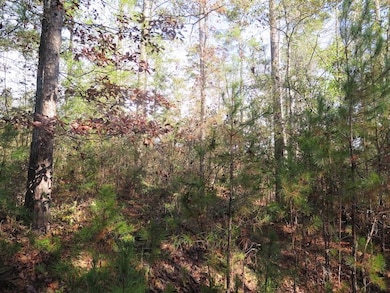 County Hwy 34 unit LotWP001, Waynesboro, MS 39367 - photo 5