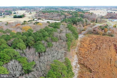 Parcel #169 Georgetown Rd, Berlin, MD 21811 - photo 5