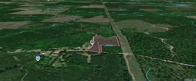 58 Dodgen Rd, Gurdon, AR 71743 - photo 2