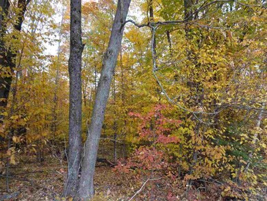 On State Highway 86, Tomahawk, WI 54487 - photo 7
