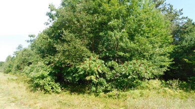 DSCN1140