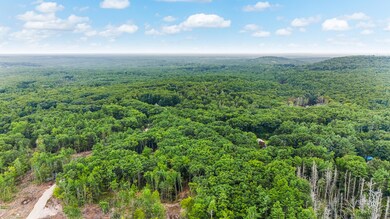 2_dji_20240819134453_0057_d1