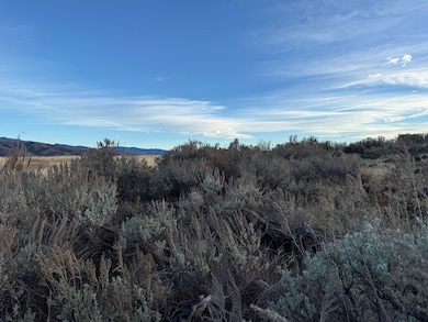 32 AC Deer Loop, Council, ID 83612 - photo 3