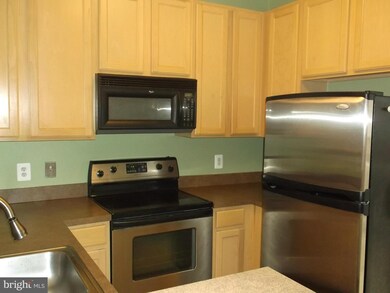 42504 Hollyhock Terrace unit 42504, Ashburn, VA 20148 - photo 3