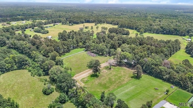 TBD Riley Rd, Pride, LA 70770 - photo 3