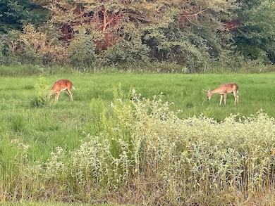 454 Vz County Road 2206, Canton, TX 75103 - photo 4