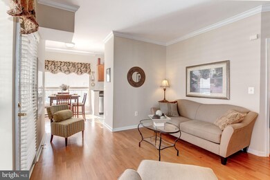 4551 Strutfield Ln unit 4201, Alexandria, VA 22311 - photo 4