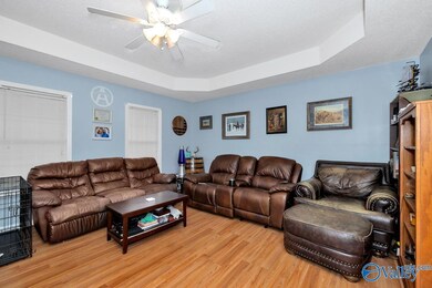 Laminate flooring, trey ceiling, ceiling fan