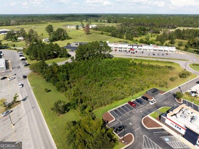 0 Golden Isle W unit 10595385, Baxley, GA 31513 - photo 7