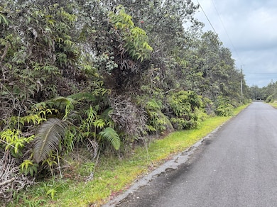 0 8th St unit 719837, Volcano, HI 96785 - photo 5