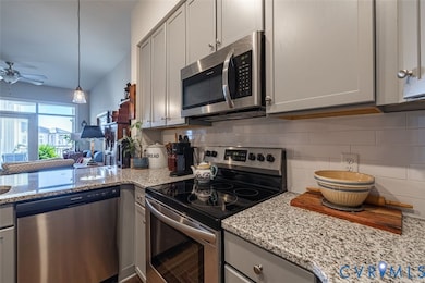 10521 Stony Bluff Dr unit 402, Ashland, VA 23005 - photo 4