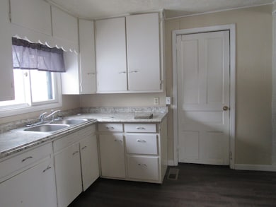 161 Palmer Ave, Colon, MI 49040 - photo 2