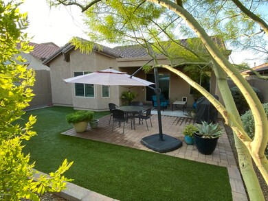 Backyard 1