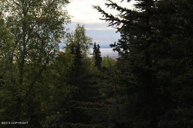 IMG_5034_2