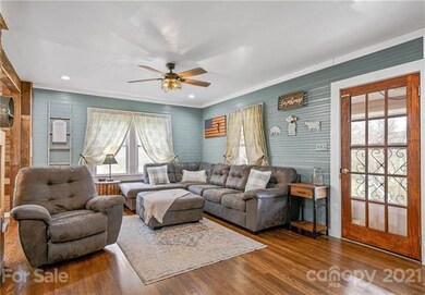 247 Jones Rd, Leicester, NC 28748 - photo 5