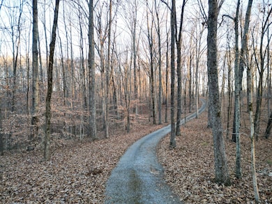 5010 Chinkapin Ln, Franklin, TN 37069 - photo 7