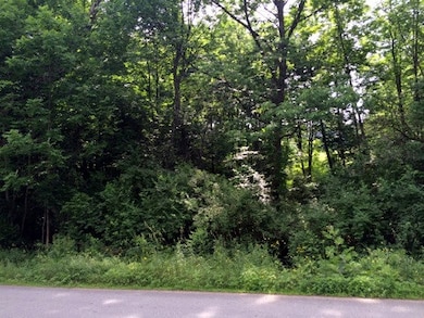 On Coppermine, Monroe, NH 03771 - photo 2