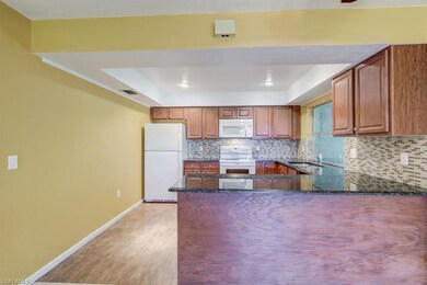 2118 52nd Ln SW, Naples, FL 34116 - photo 6