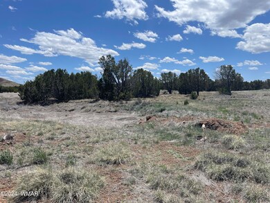 18 Pate Ln, Concho, AZ 85924 - photo 6