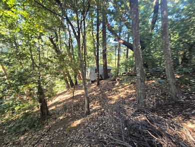 00 Panther Gap Rd, Honeydew, CA 95545 - photo 2